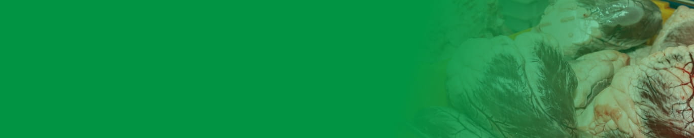 aboutタイトル画像