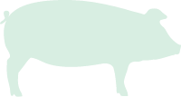 豚のシルエット
