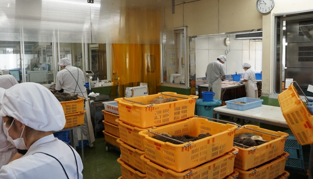 データで見る畜産食品