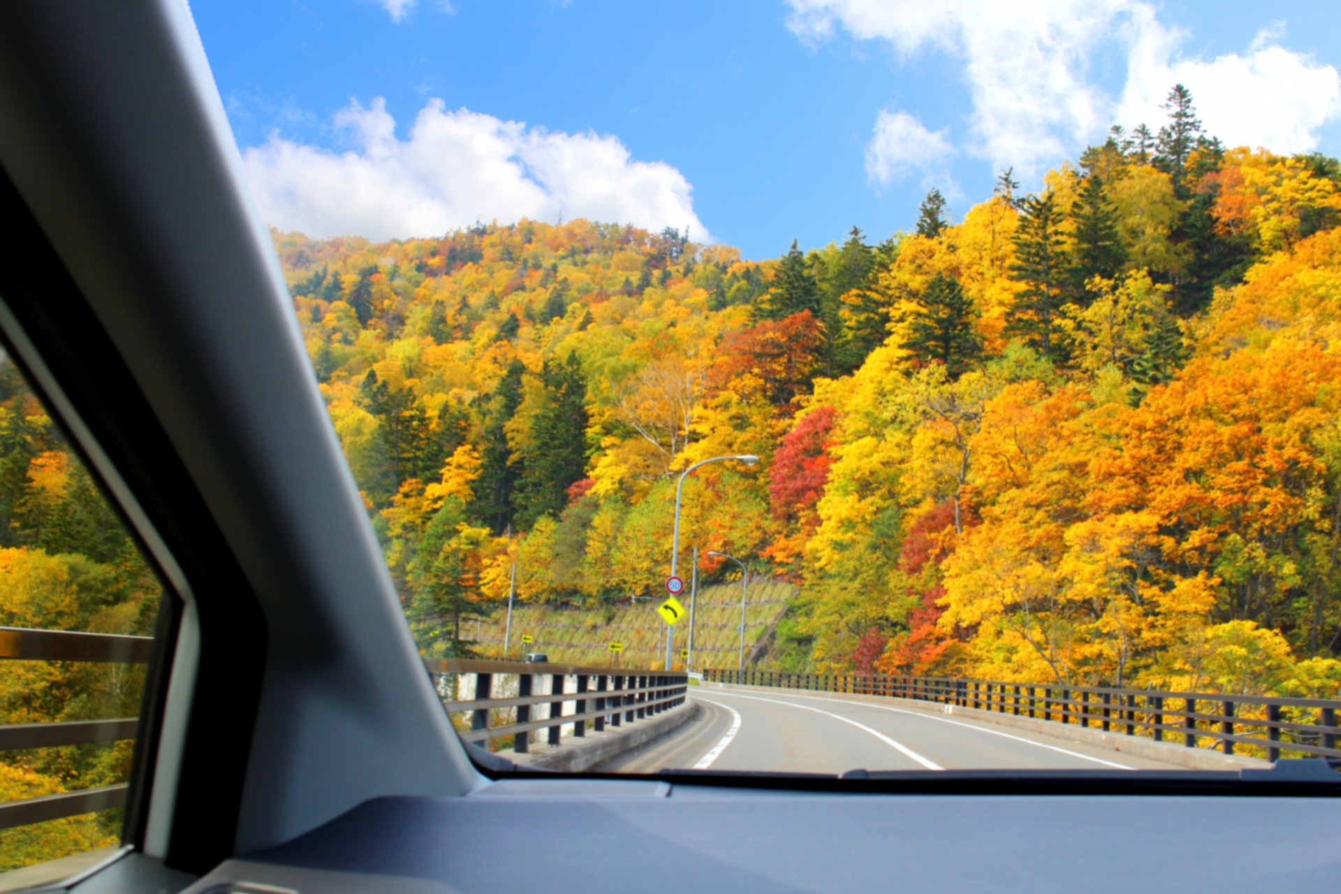 先輩社員の写真