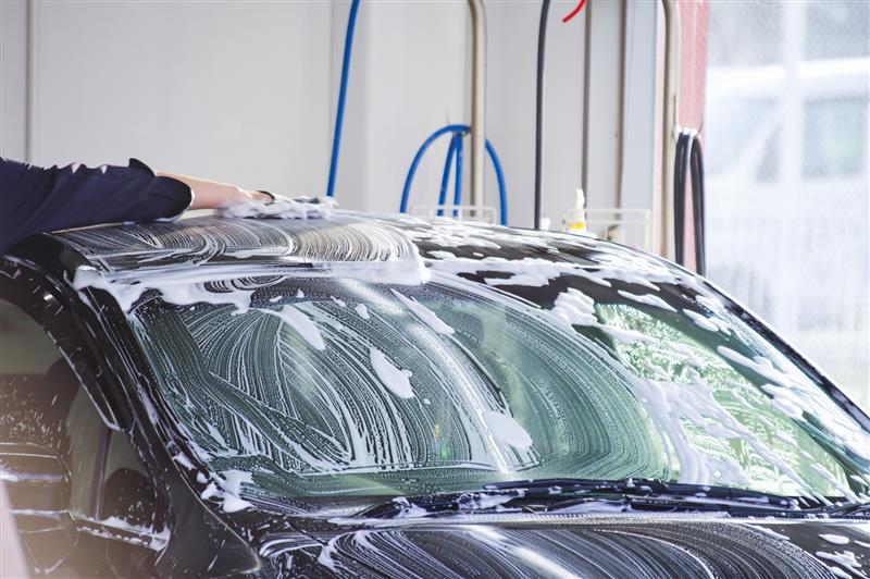 先輩社員の写真