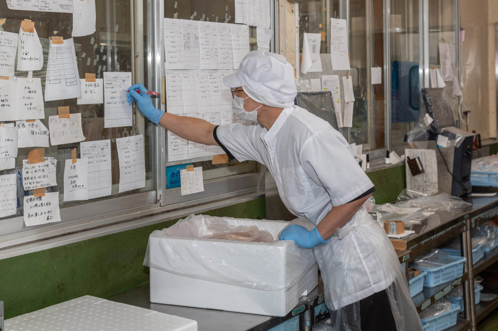 先輩社員の写真