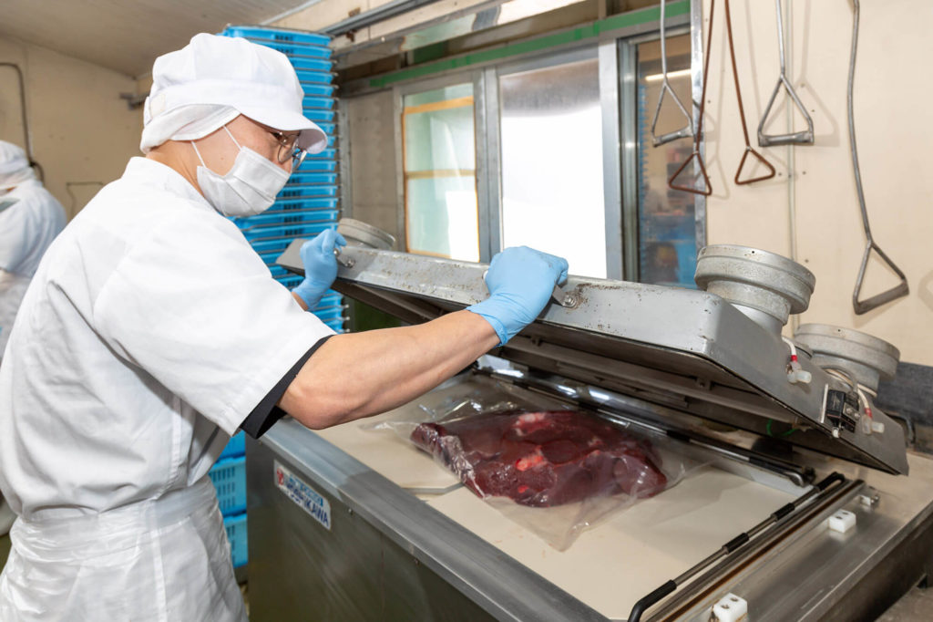 先輩社員の写真