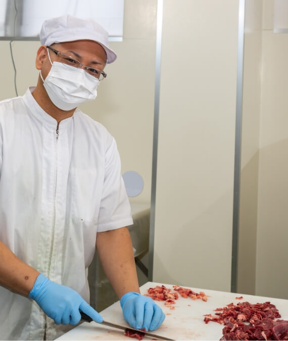 先輩社員の写真