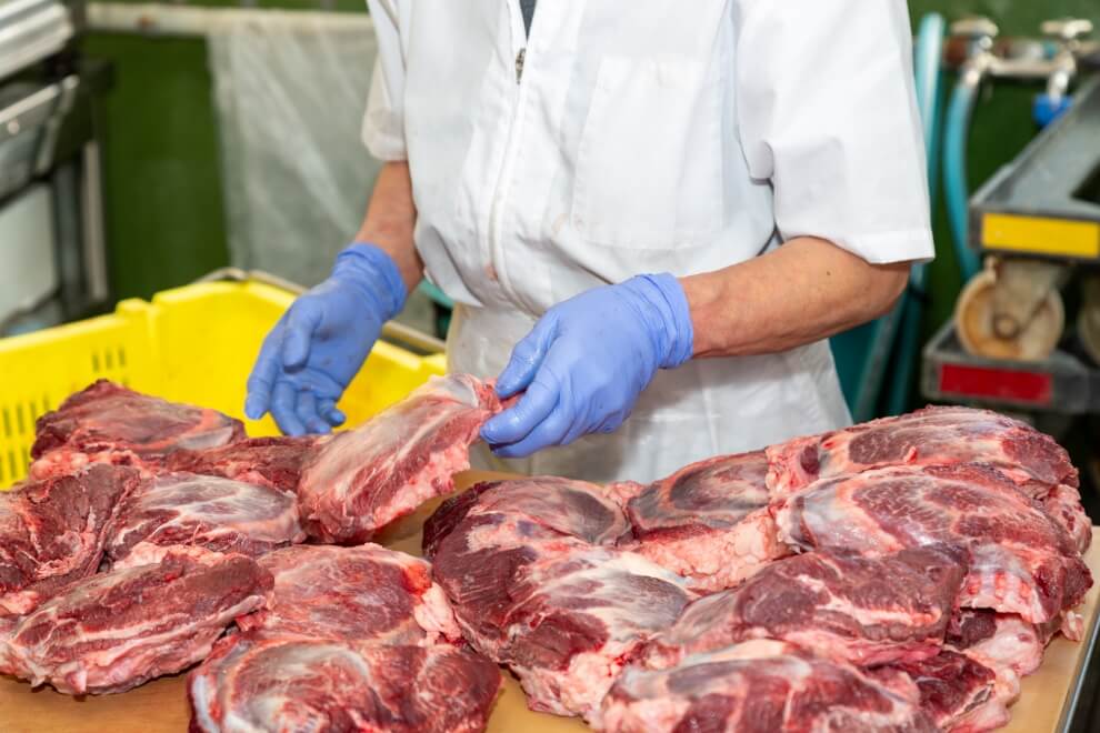 先輩社員の写真